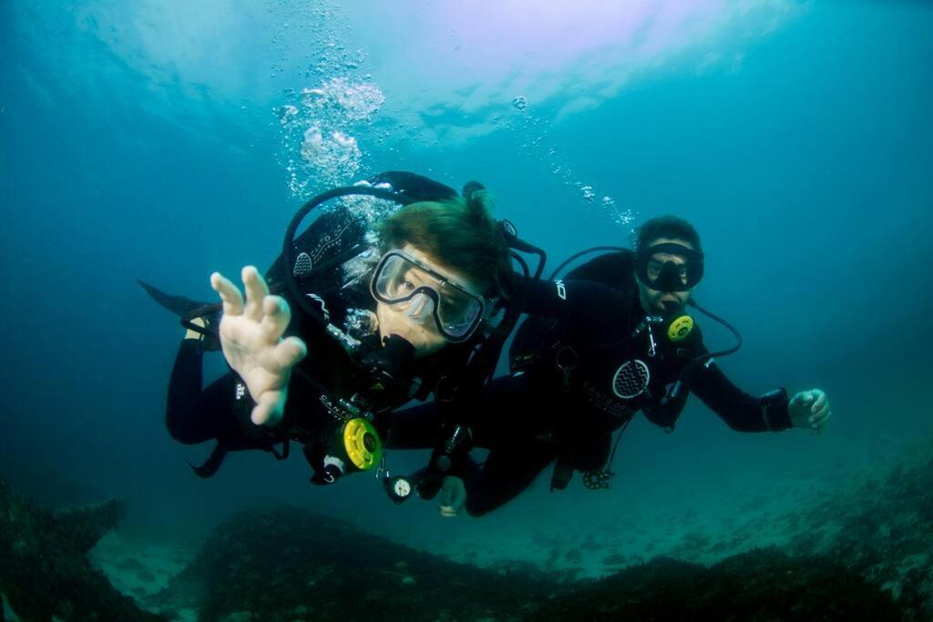 Canto Do Ile Dive & Lodge Araquari Dış mekan fotoğraf